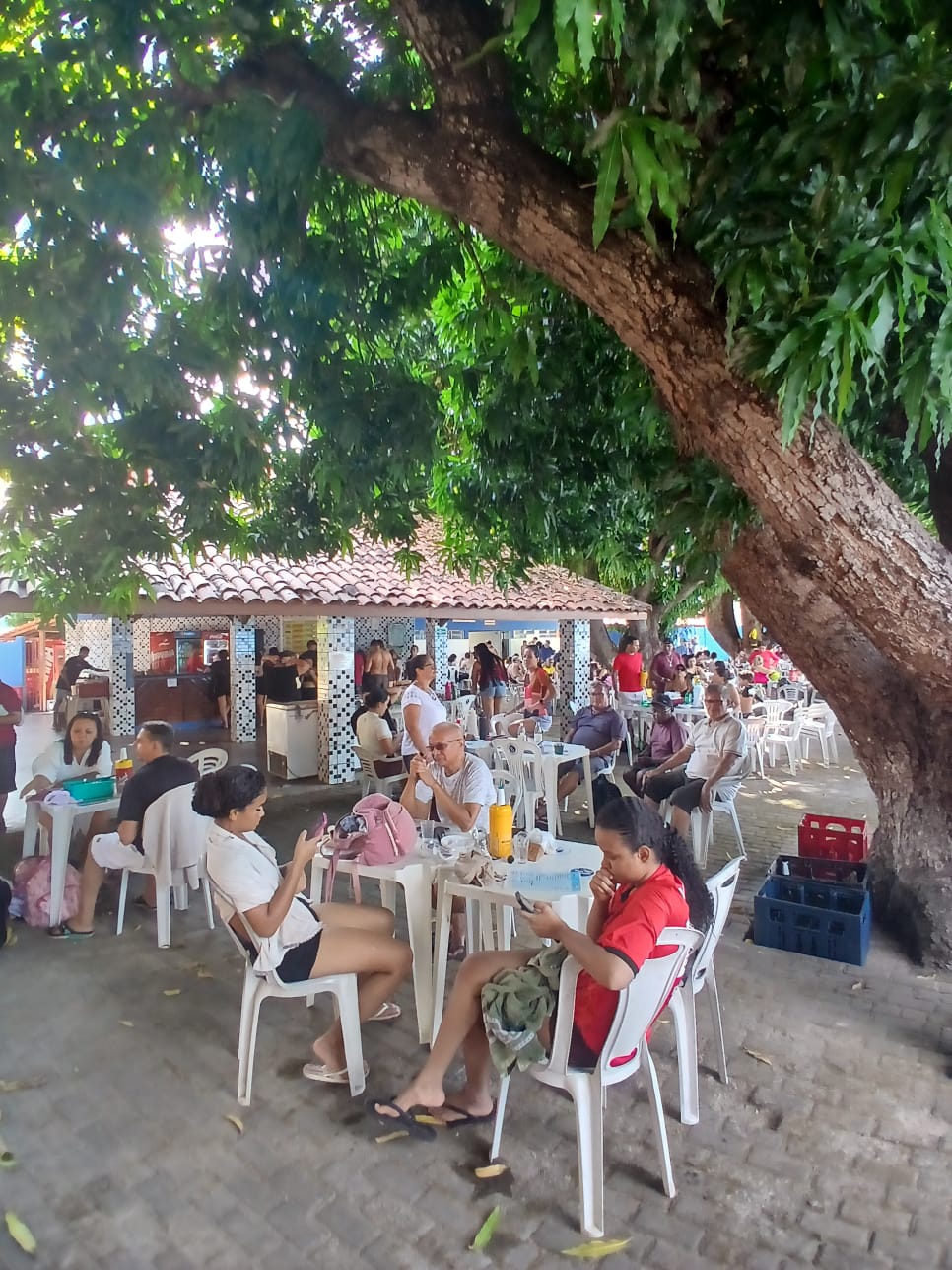 FESTA DOS PAIS 