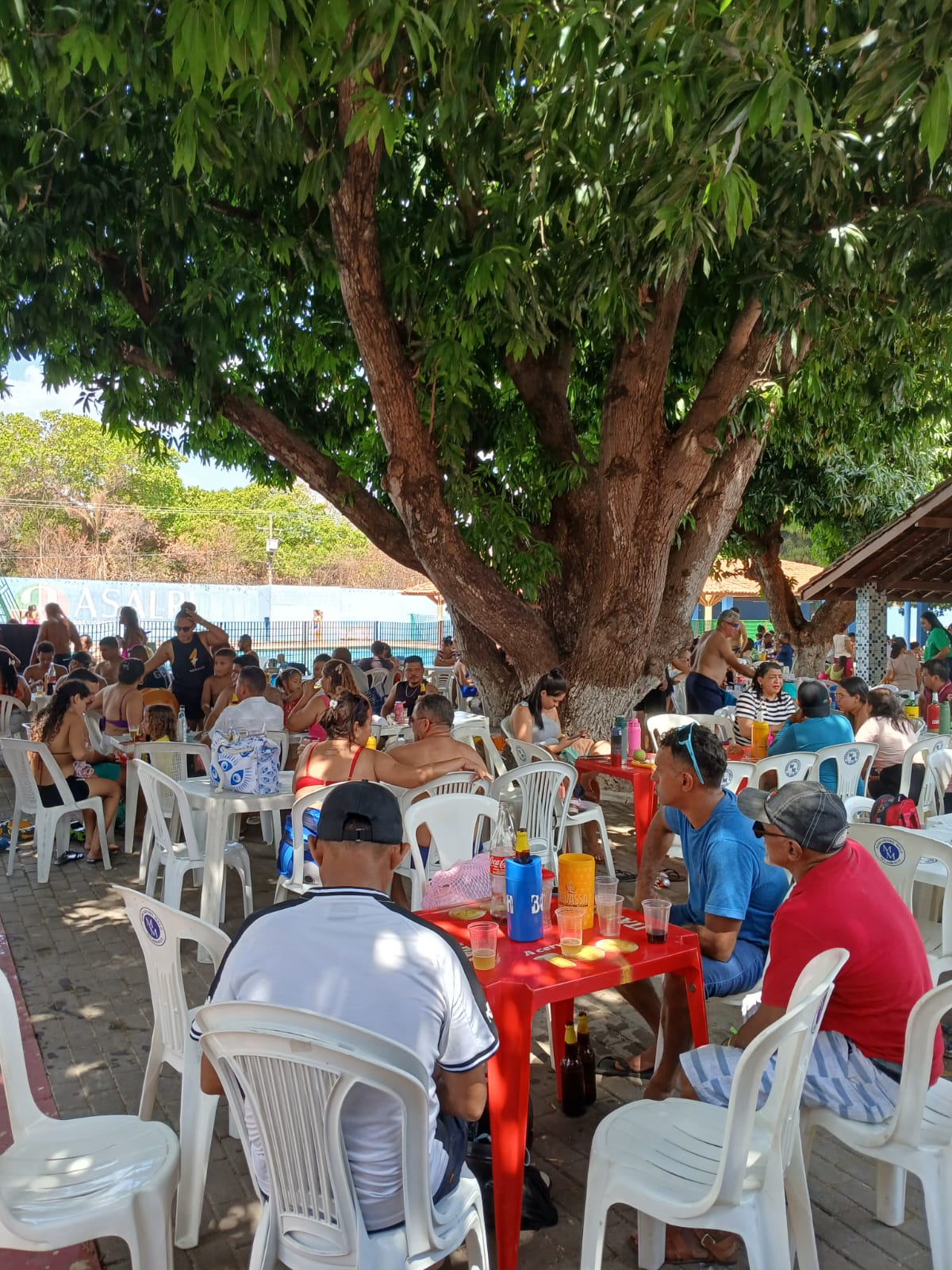Festa das Crianças dia 12 de Outubro