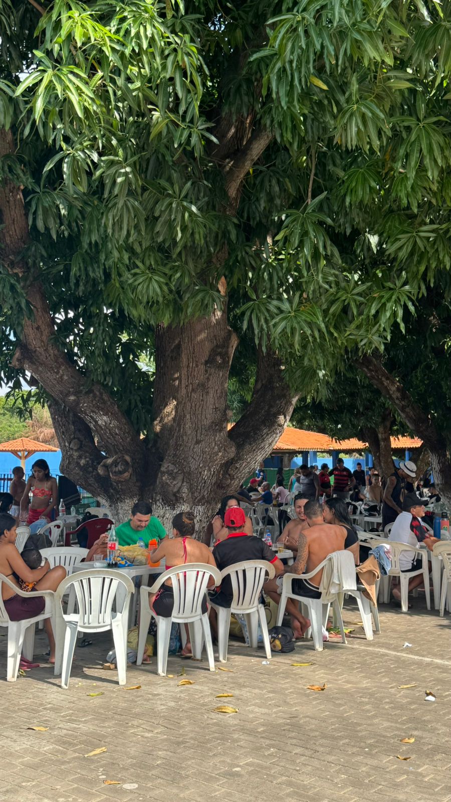 FESTA DE CONFRATERNIZAÇÃO DA ASALPI SINDICATO