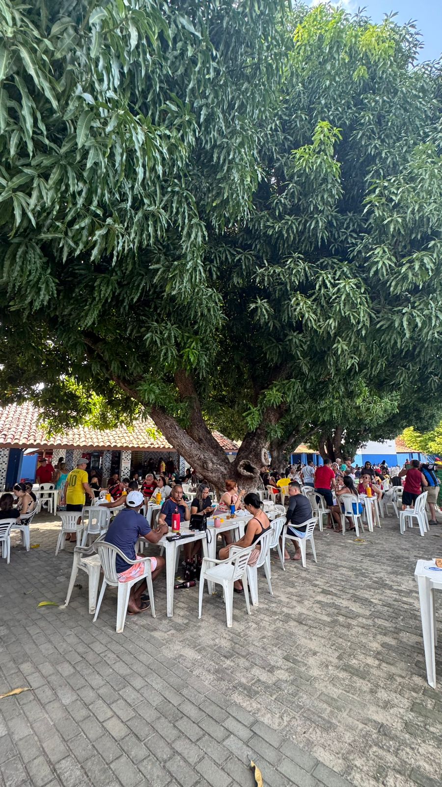 FESTA DE CONFRATERNIZAÇÃO DA ASALPI SINDICATO